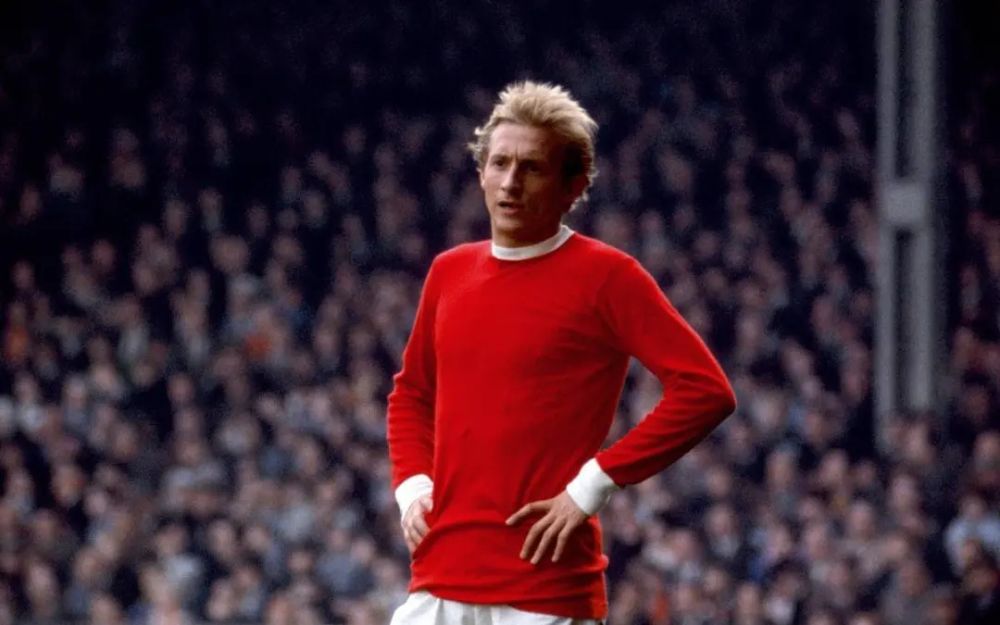 denis law novibet